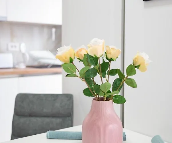 Apartment Maja Lux Subotica