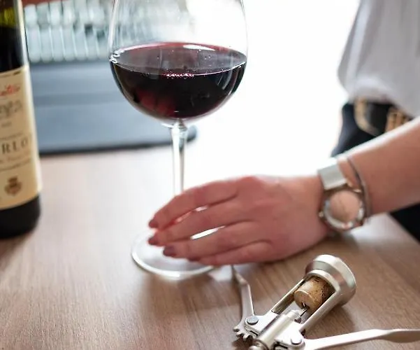 Apartment Maja Lux *